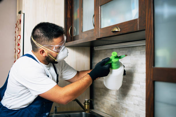 Best Pest Control for Restaurants  in Lden, MA