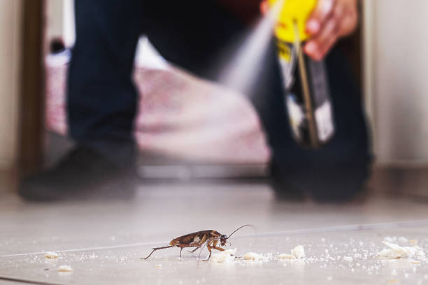 Best Pest Control Near Me  in Lden, MA